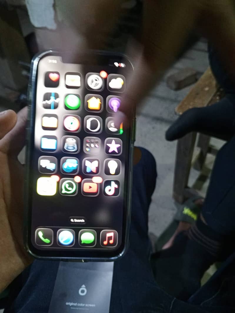 Apple iPhone 12 1