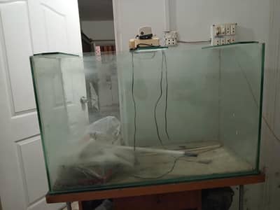 Fish Aquarium