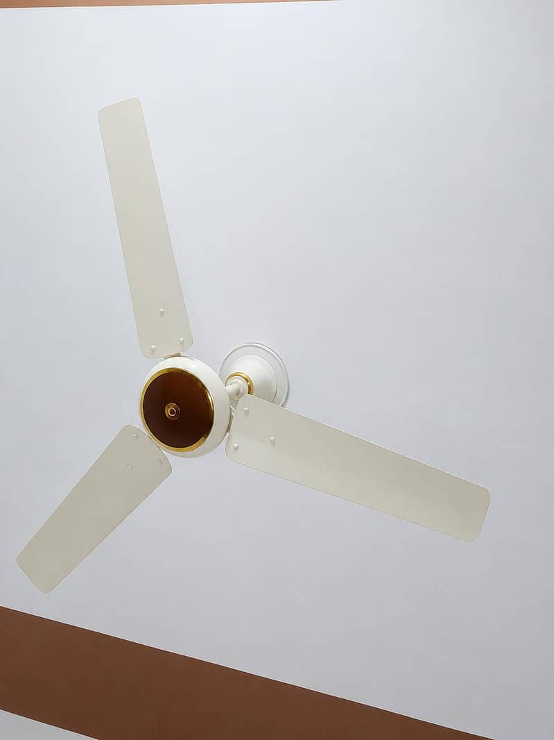Ceiling Fan 0