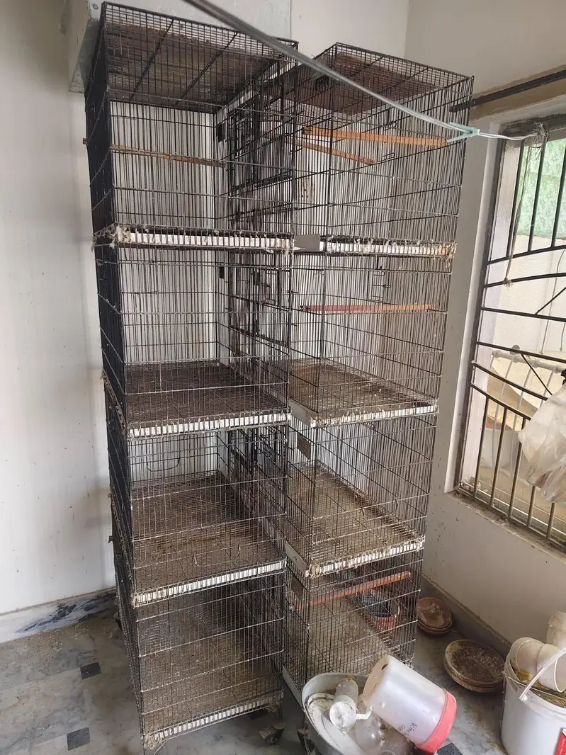 cage for sale. 10000/cage — photo 2