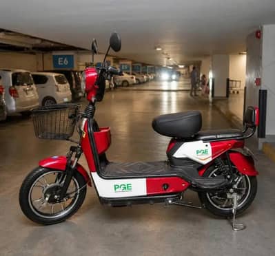 PGE-Electric Scooty 9 Months used with good batteries.
