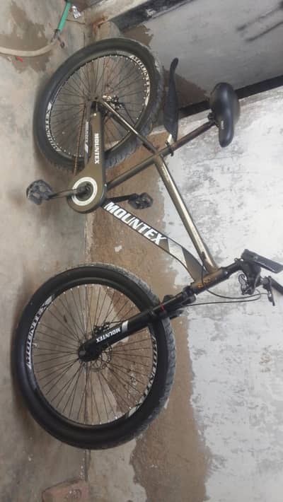 mountain company