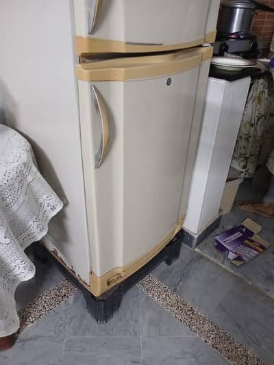 PEL Fridge