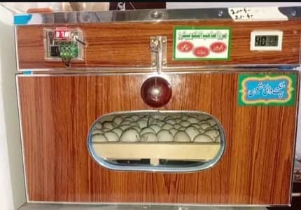 Incubator for sale