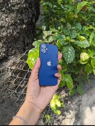 Apple iPhone 12 mini