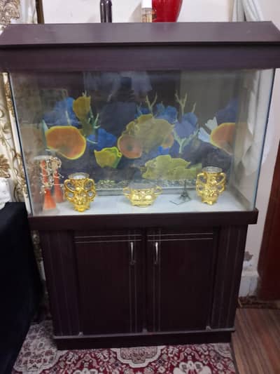 Fish Aquarium