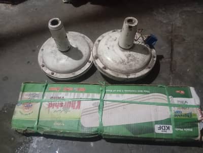 Cailing Fans for sale
