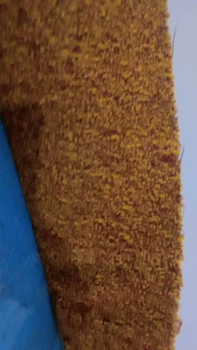 carpet