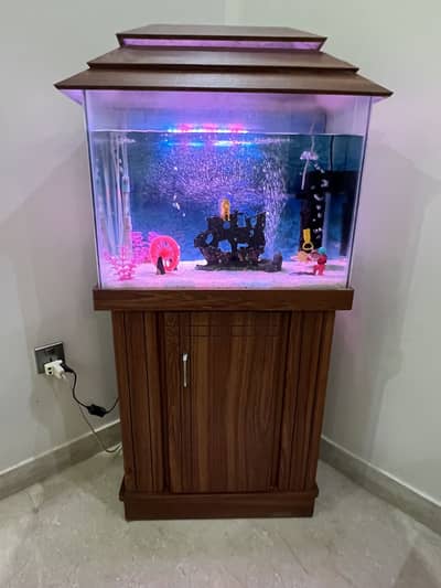 Aquarium with Complete Accessories and Fishes