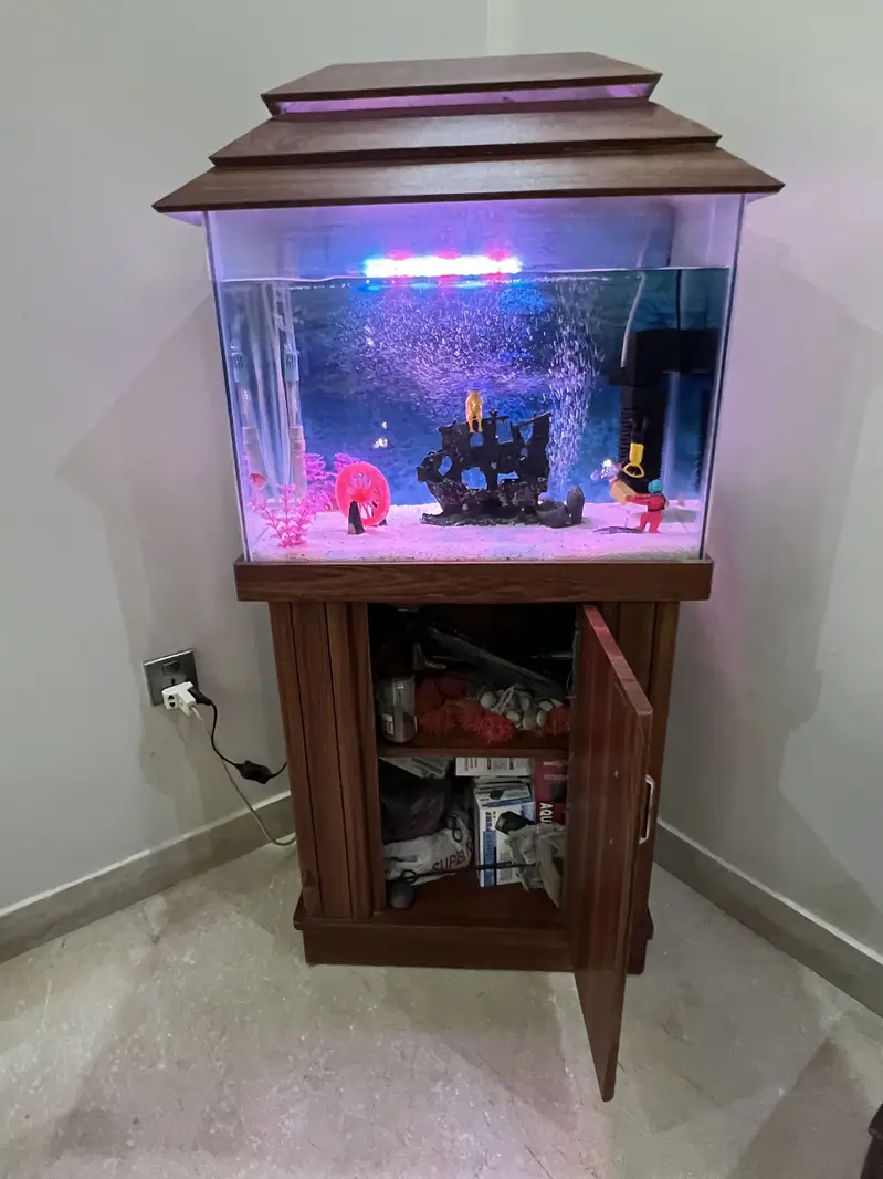 Aquarium with Complete Accessories and Fishes — photo 2