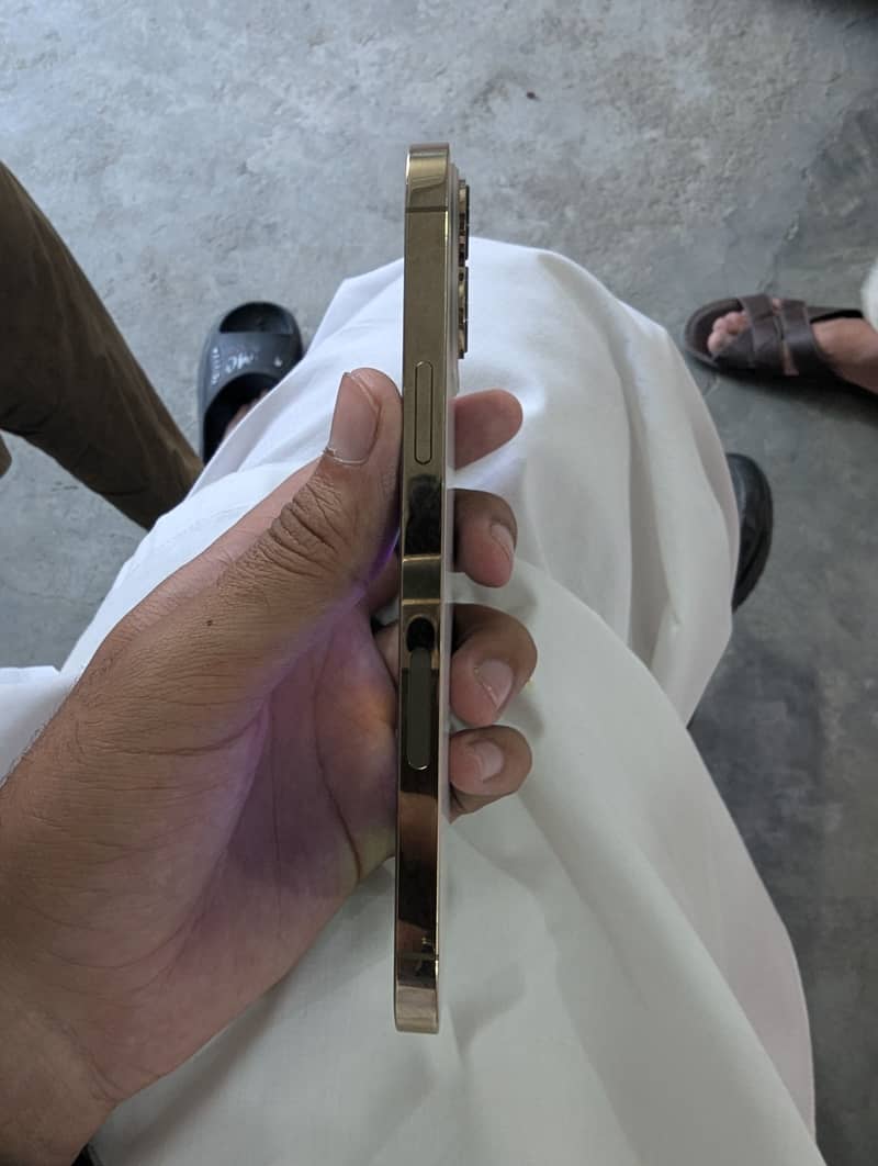 Apple iPhone 13 Pro Max 2