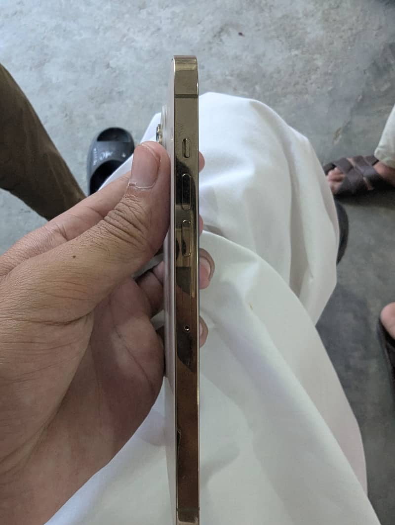 Apple iPhone 13 Pro Max 4