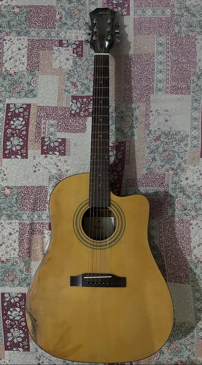 Acoustic Kapok guitar.