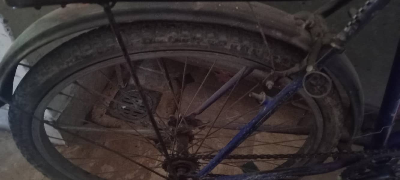 Cycle 4