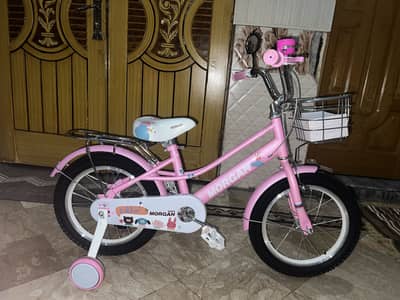 Adjustable baby cycle