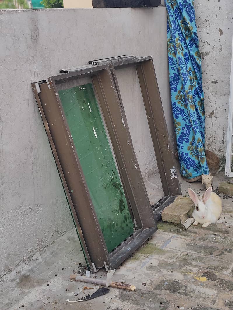 window 1