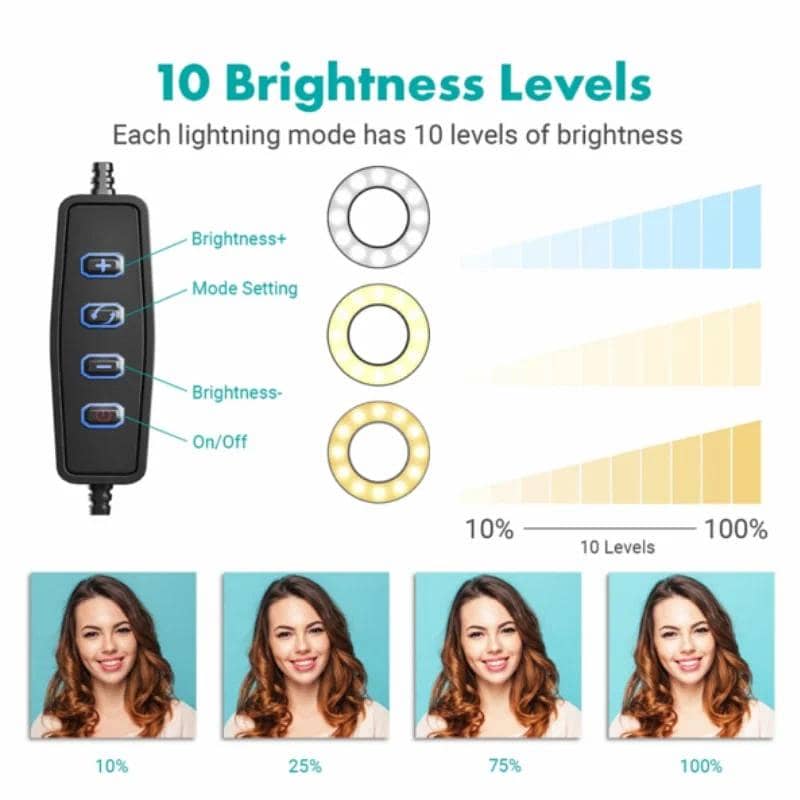 6-Inch Multi-Position Fill Light 8