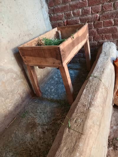 new kurli or pyilet for sale