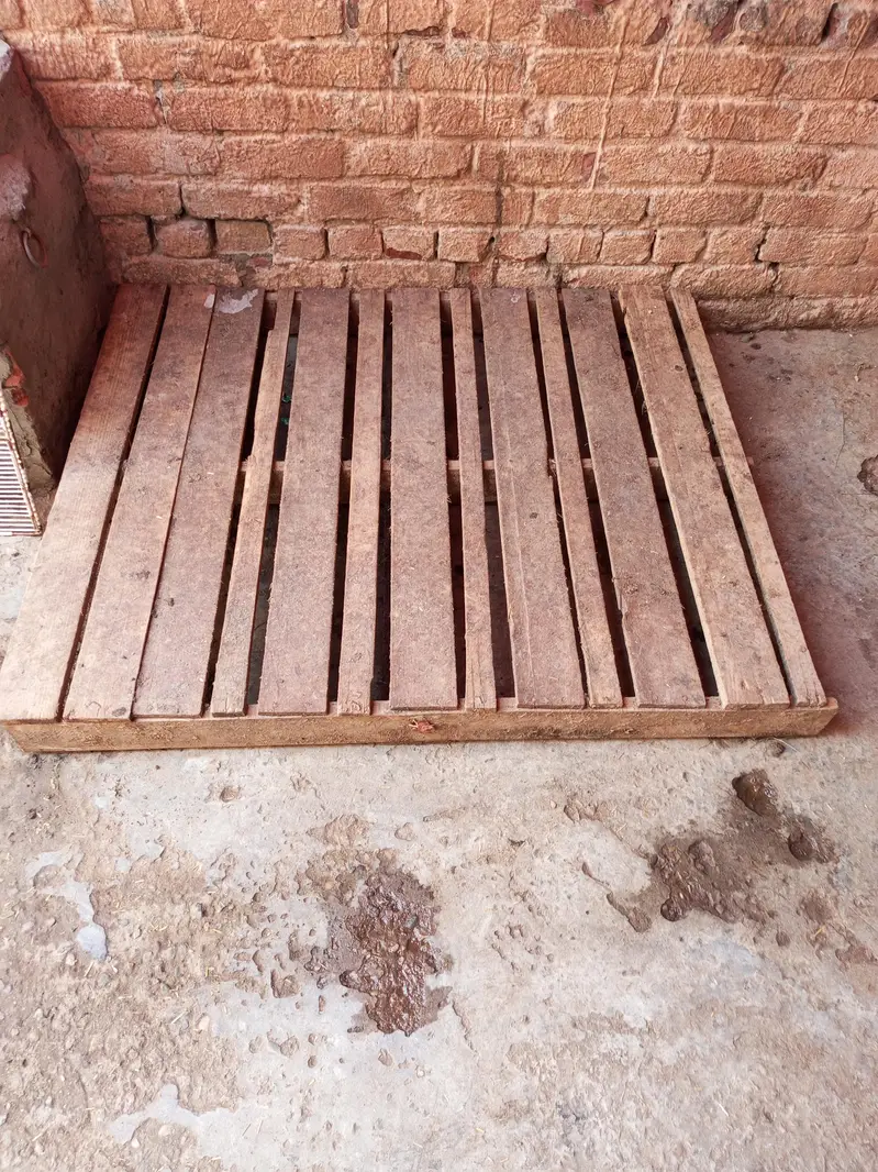 new kurli or pyilet for sale — photo 2