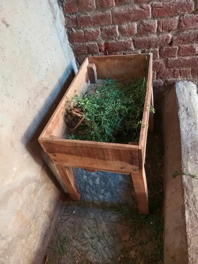 new kurli or pyilet for sale — photo 3