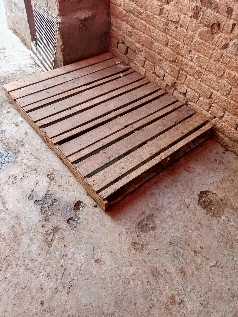 new kurli or pyilet for sale — photo 4