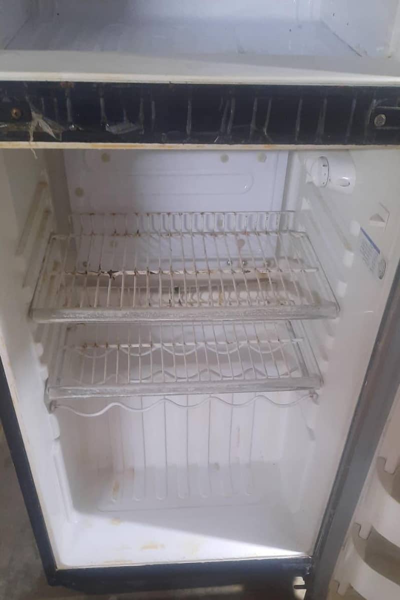 medium size fridge 1