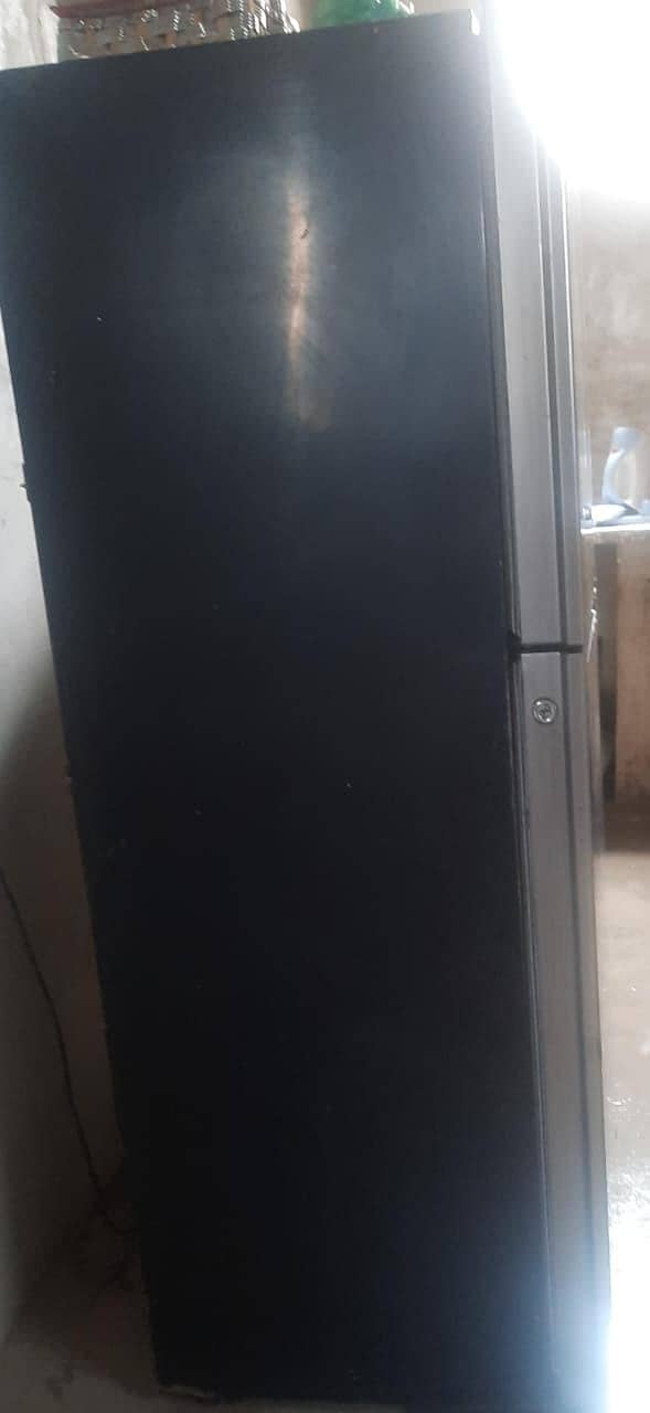 medium size fridge 3