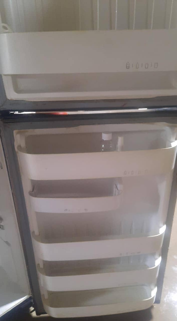 medium size fridge 4