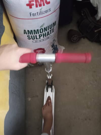 best tow Scotty for sale for kids