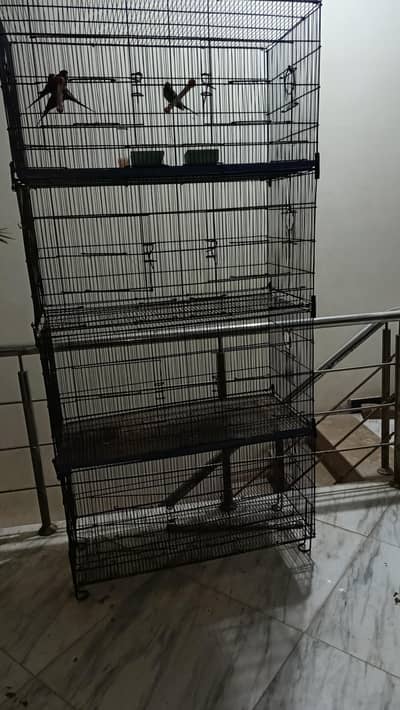 8 portion cage available
