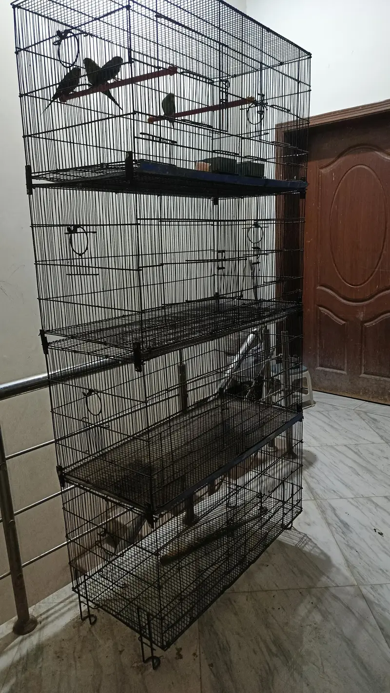 8 portion cage available — photo 2