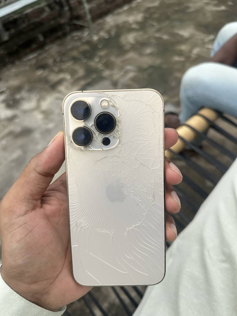 Apple iPhone 13 Pro 1