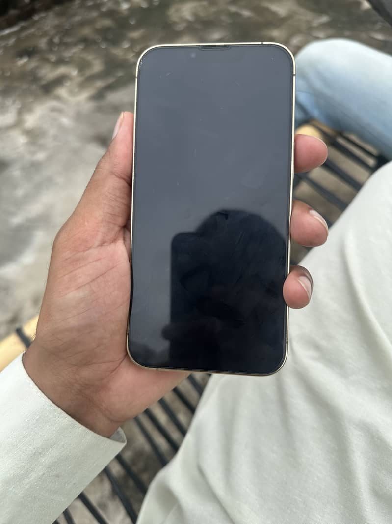 Apple iPhone 13 Pro 3