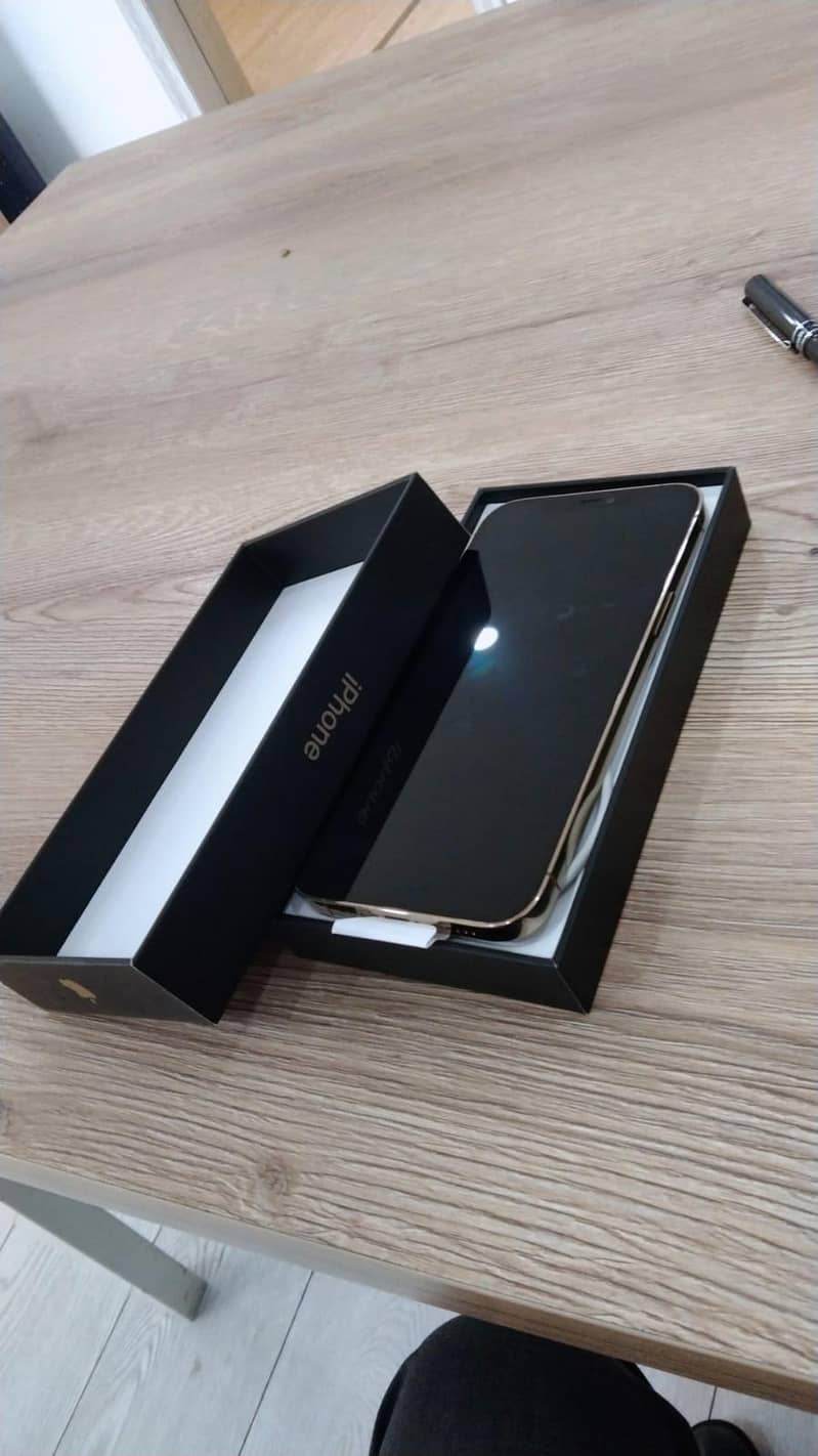 Apple iPhone 12 Pro Max 1