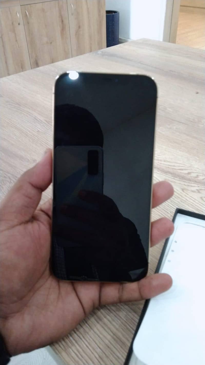 Apple iPhone 12 Pro Max 3