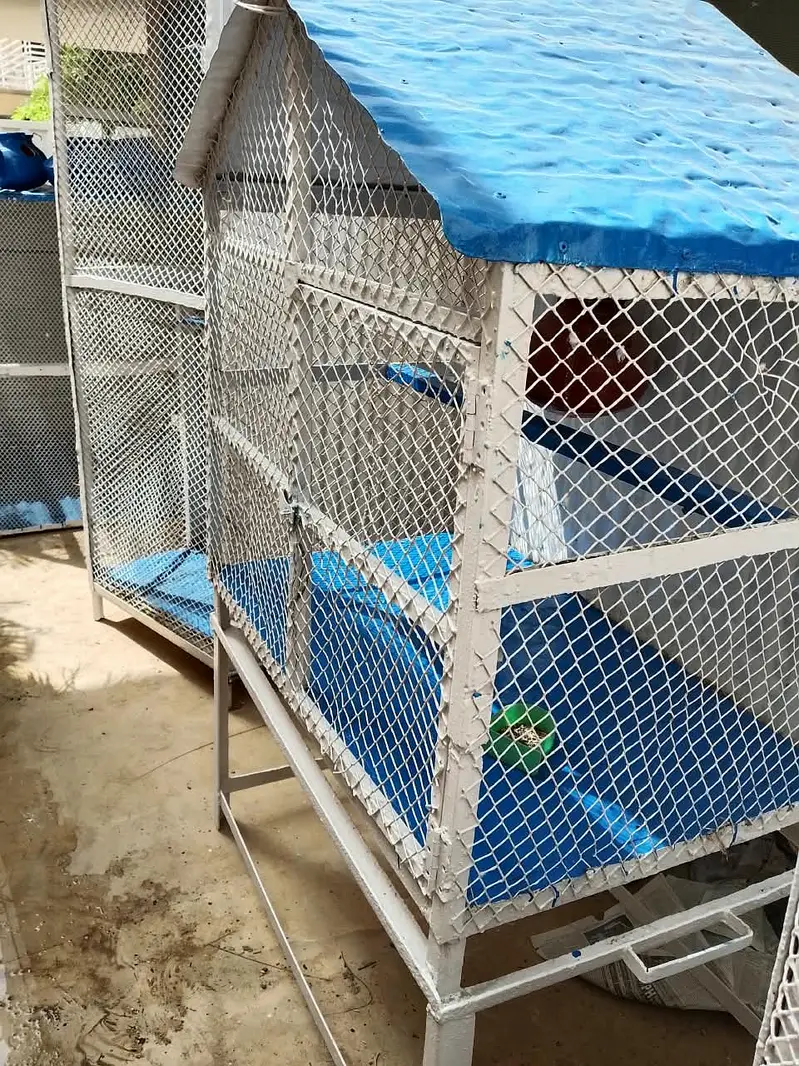 CAGES FOR SALE — DIFFERENT SIZES AVAILABLE! — photo 3