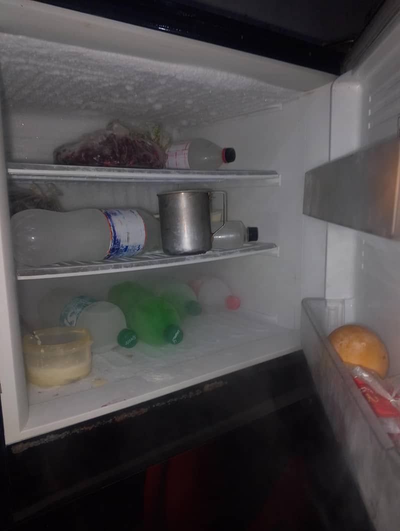 freezer 3