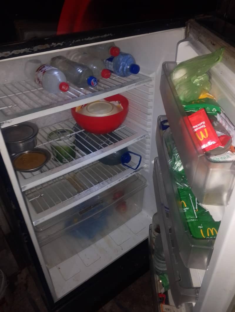 freezer 4
