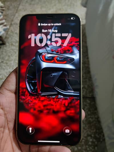 Apple iPhone 12 Pro Max - 256 GB - PTA