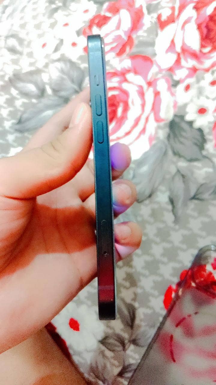 Apple iPhone 13 2