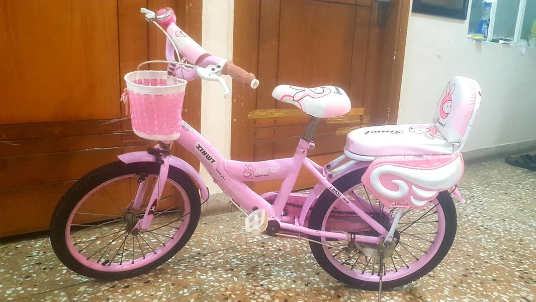 Imported Bicycle 0