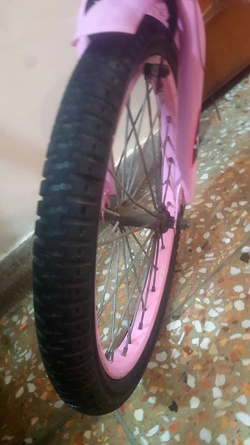 Imported Bicycle 1