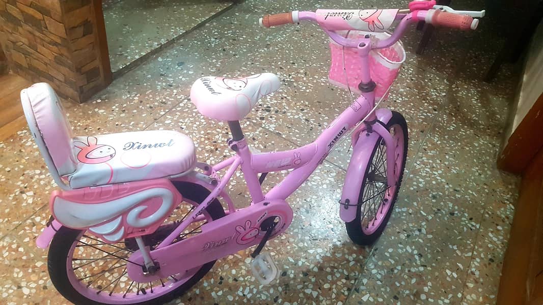 Imported Bicycle 2