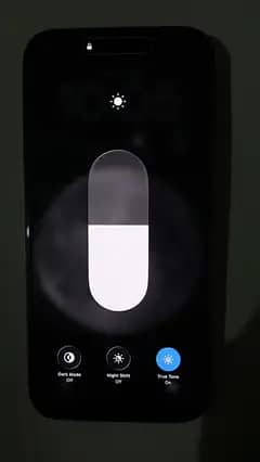 Apple iPhone 16 Pro Max 3