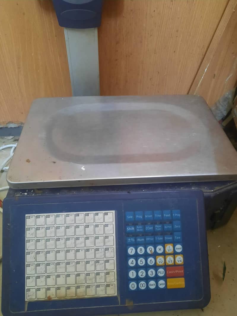 scale 5