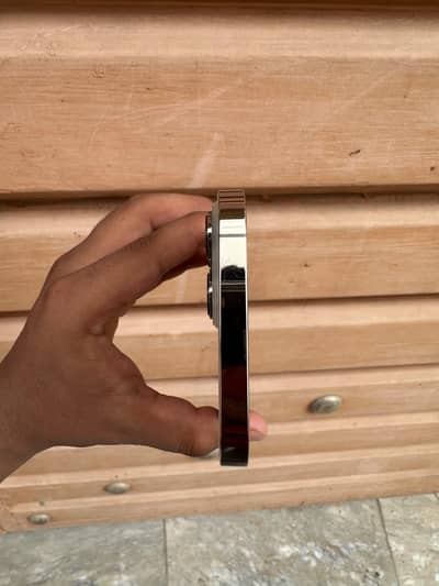 Apple iPhone 13 Pro Max jv