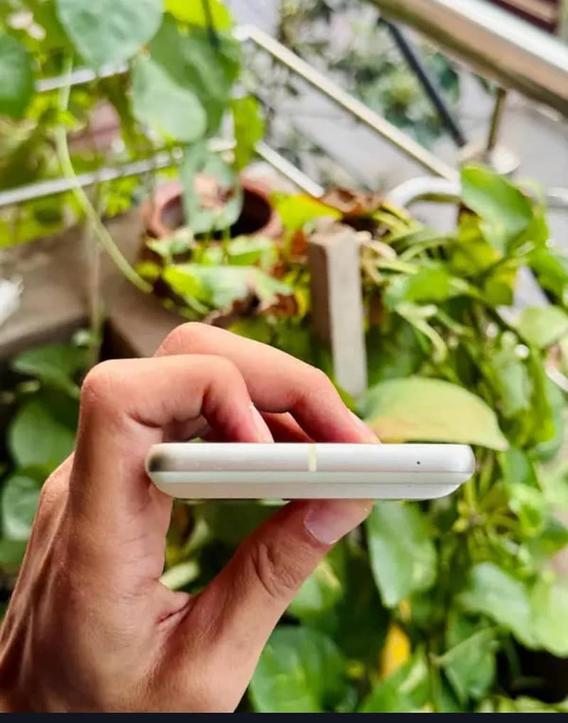 Google Pixel 7 1