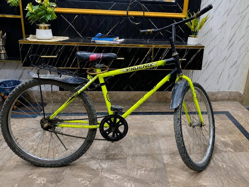 phoenix bicycle 1