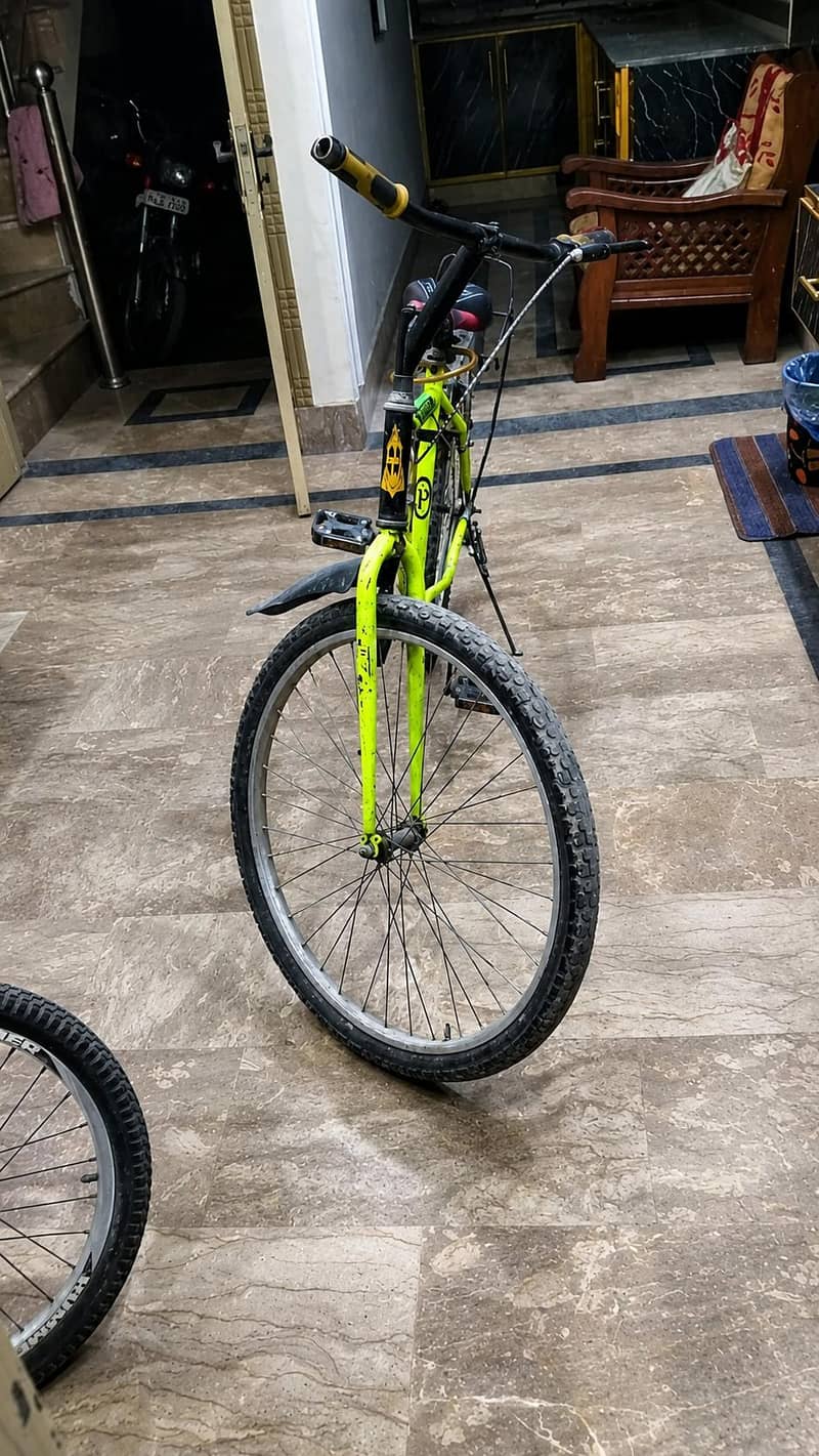 phoenix bicycle 2