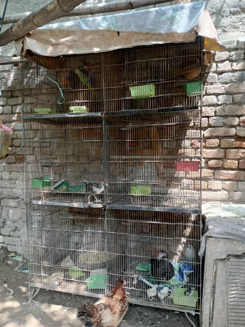 6 portion cage 0